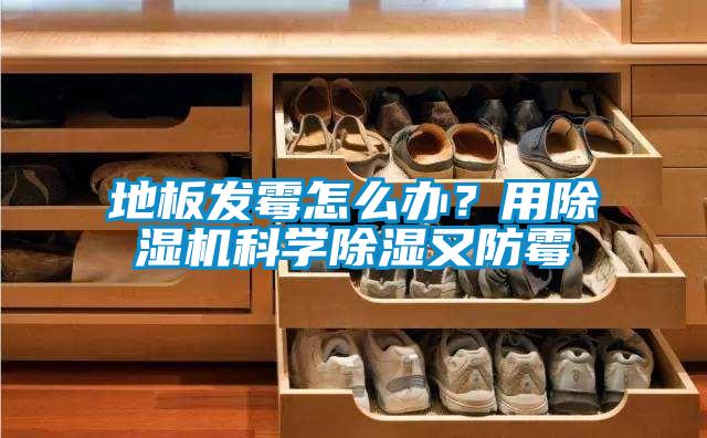 地板发霉怎么办？用91抖音免费看片科学除湿又防霉