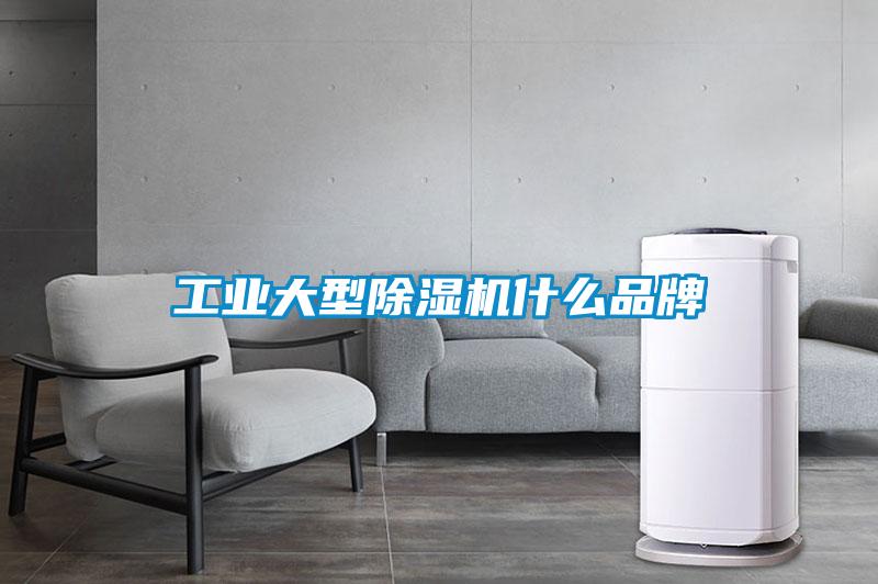 工业大型91抖音免费看片什么品牌