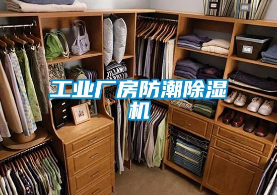 工业厂房防潮91抖音免费看片