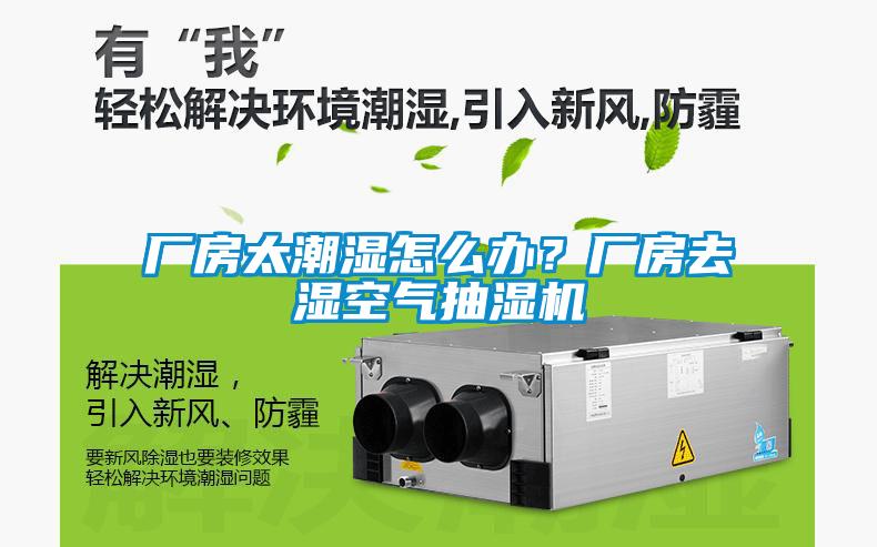 厂房太潮湿怎么办？厂房去湿空气抽湿机