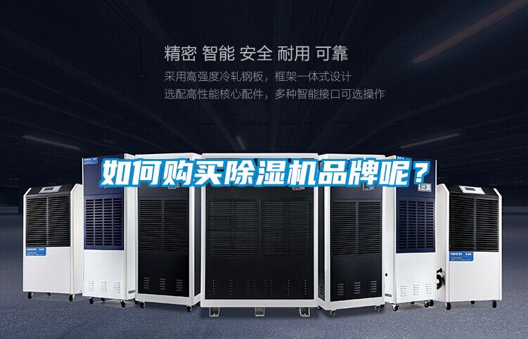 如何购买91抖音免费看片品牌呢？
