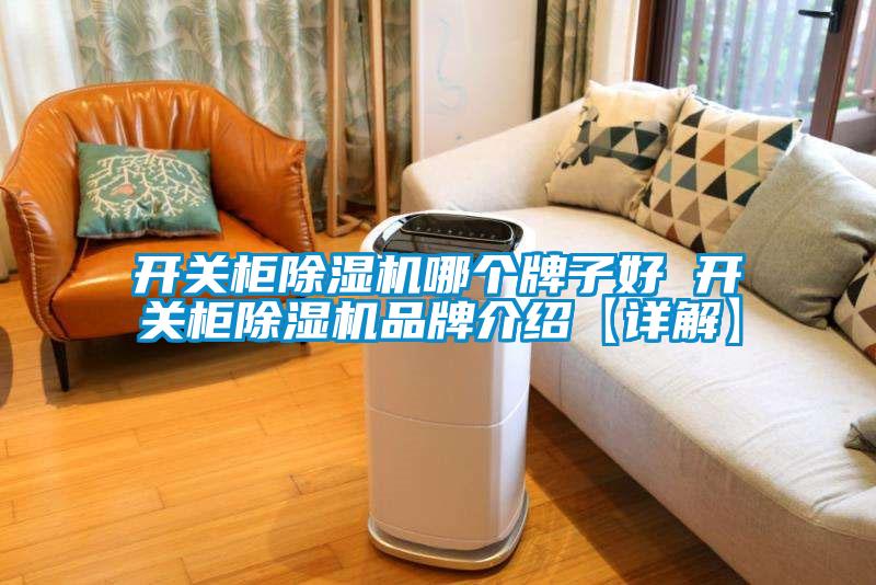 开关柜91抖音免费看片哪个牌子好 开关柜91抖音免费看片品牌介绍【详解】