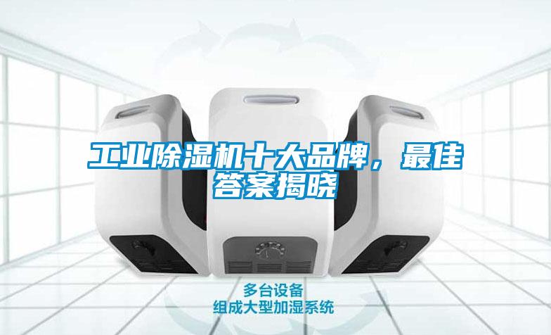工业91抖音免费看片十大品牌，最佳答案揭晓