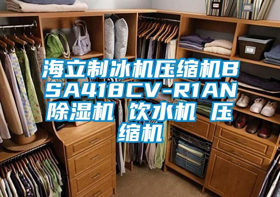 海立制冰机压缩机BSA418CV-R1AN91抖音免费看片 饮水机 压缩机