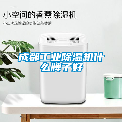 成都工业91抖音免费看片什么牌子好