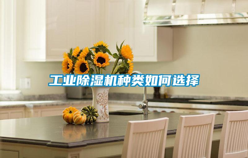工业91抖音免费看片种类如何选择