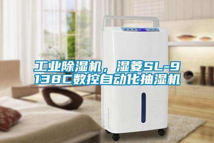 工业91抖音免费看片，湿菱SL-9138C数控自动化抽湿机