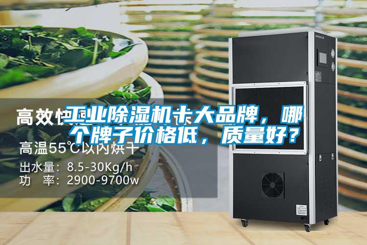 工业91抖音免费看片十大品牌，哪个牌子价格低，质量好？