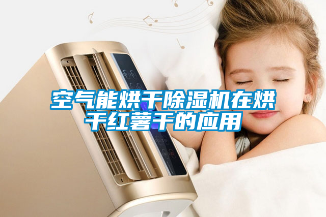 空气能烘干91抖音免费看片在烘干红薯干的应用