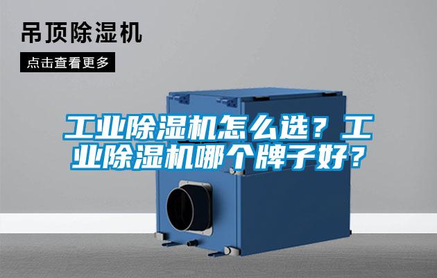 工业91抖音免费看片怎么选？工业91抖音免费看片哪个牌子好？