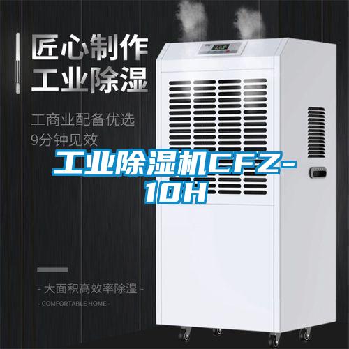 工业91抖音免费看片CFZ-10H