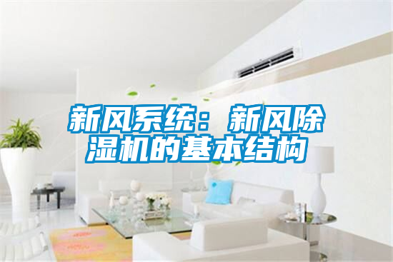 新风系统：新风91抖音免费看片的基本结构
