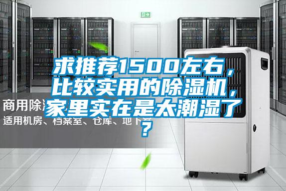 求推荐1500左右，比较实用的91抖音免费看片，家里实在是太潮湿了？