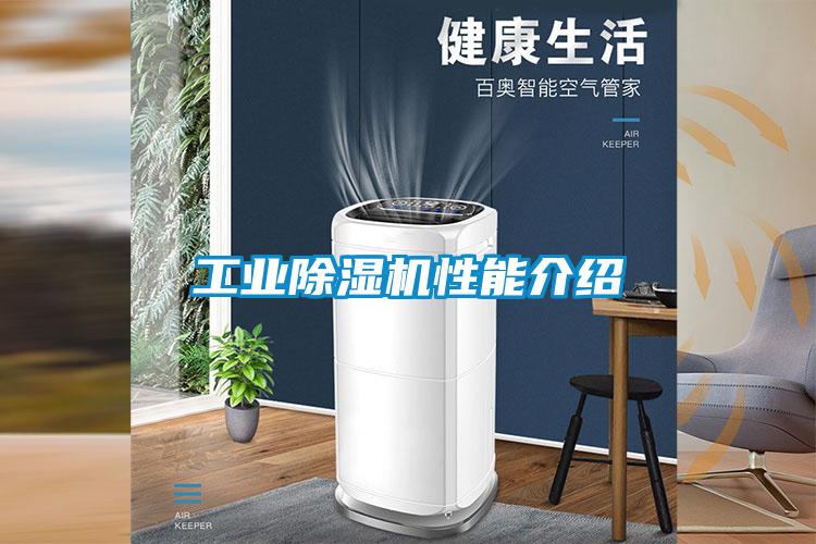工业91抖音免费看片性能介绍