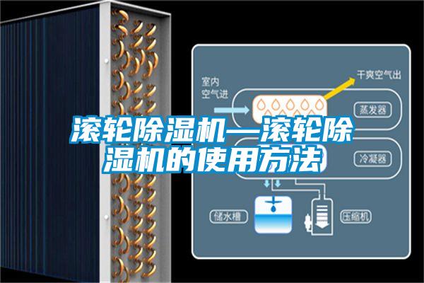 滚轮91抖音免费看片—滚轮91抖音免费看片的使用方法