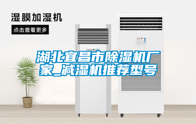 湖北宜昌市91抖音免费看片厂家_减湿机推荐型号