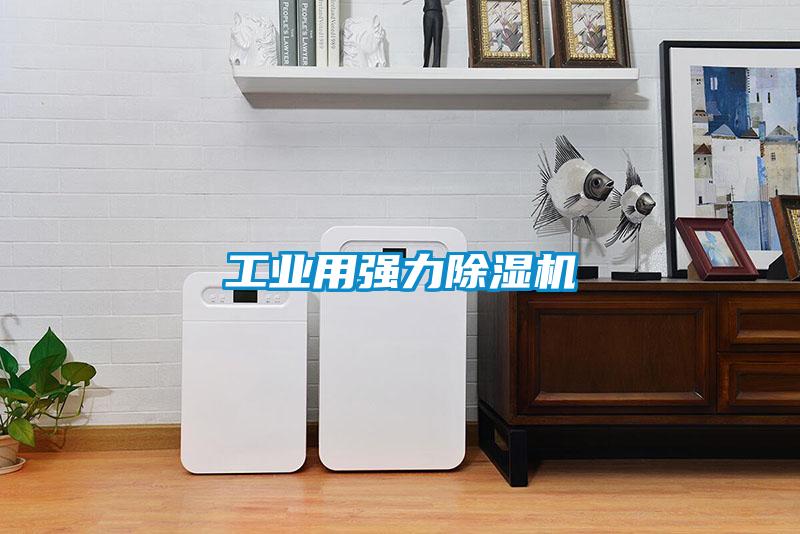 工业用强力91抖音免费看片