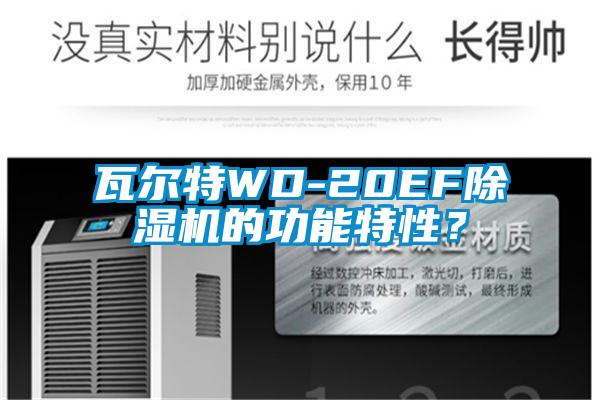 瓦尔特WD-20EF91抖音免费看片的功能特性？