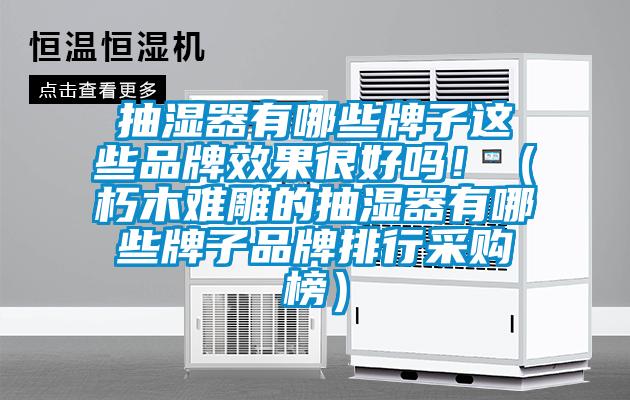 抽湿器有哪些牌子这些品牌效果很好吗！（朽木难雕的抽湿器有哪些牌子品牌排行采购榜）
