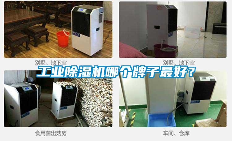 工业91抖音免费看片哪个牌子最好？