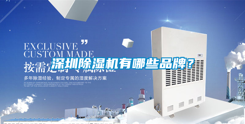 深圳91抖音免费看片有哪些品牌？