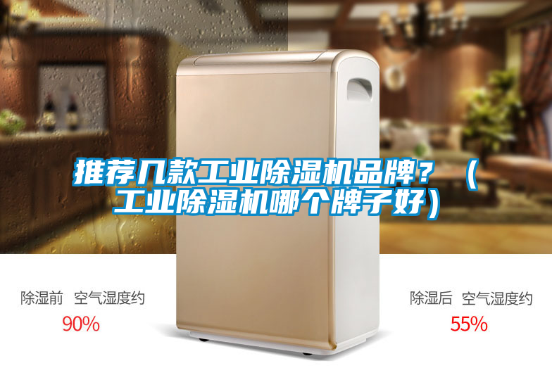 推荐几款工业91抖音免费看片品牌？（工业91抖音免费看片哪个牌子好）