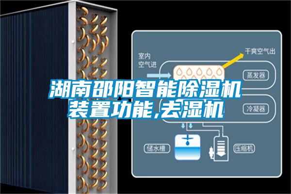湖南邵阳智能91抖音免费看片装置功能,去湿机