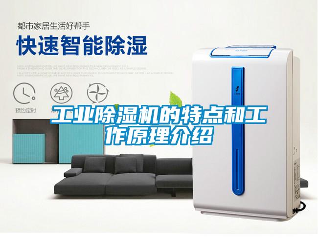 工业91抖音免费看片的特点和工作原理介绍