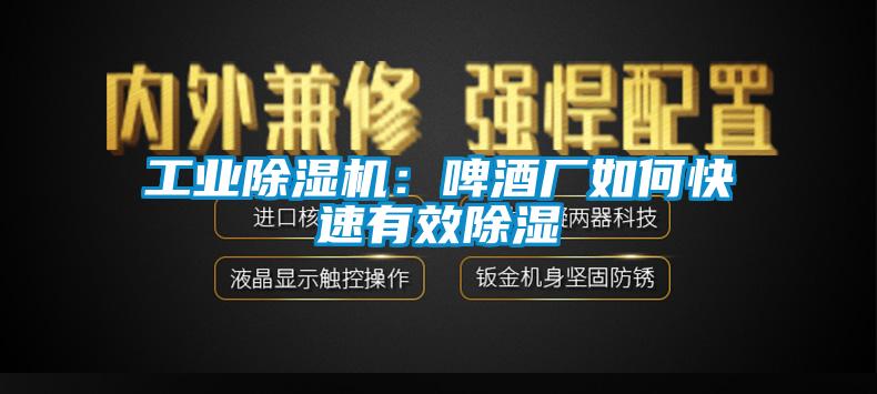 工业91抖音免费看片：啤酒厂如何快速有效除湿