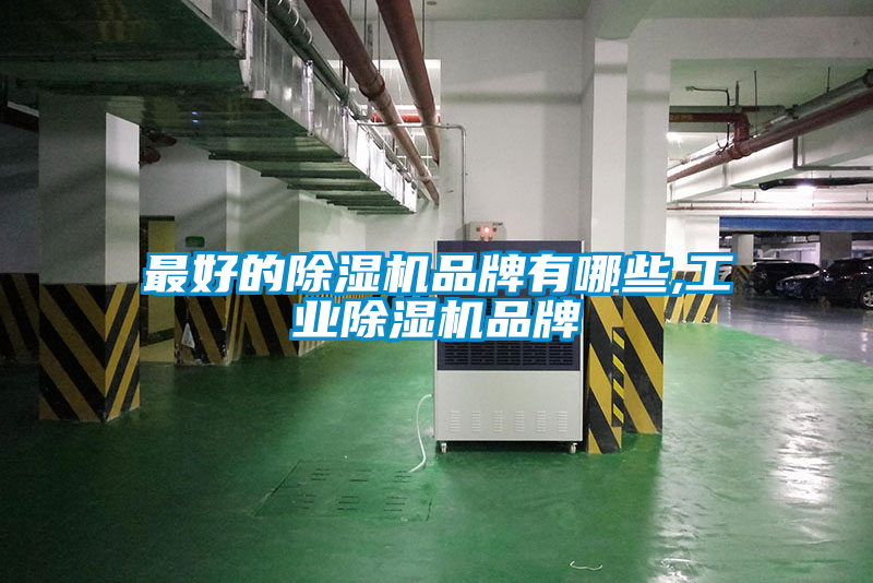 最好的91抖音免费看片品牌有哪些,工业91抖音免费看片品牌