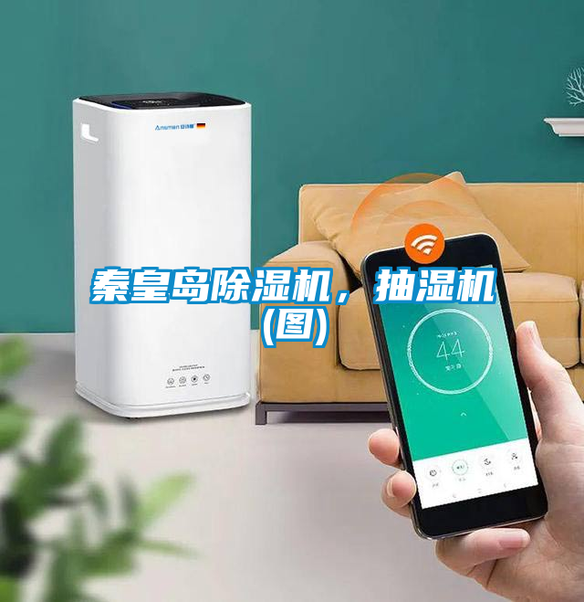 秦皇岛91抖音免费看片，抽湿机(图)