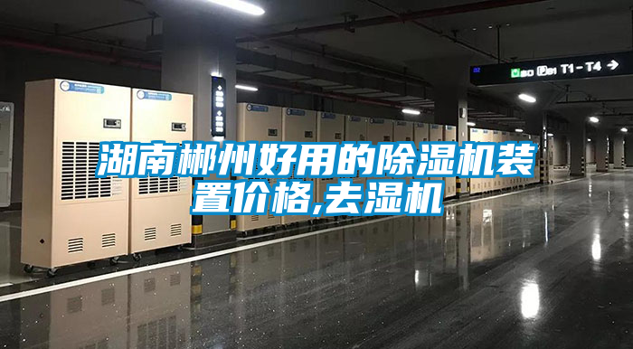 湖南郴州好用的91抖音免费看片装置价格,去湿机