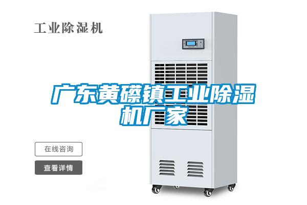 广东黄礤镇工业91抖音免费看片厂家