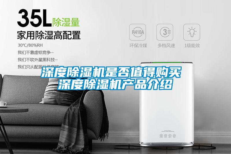 深度91抖音免费看片是否值得购买 深度91抖音免费看片产品介绍