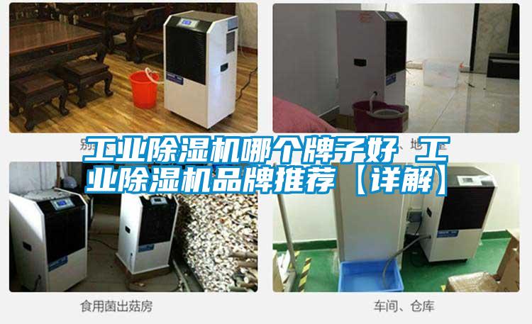 工业91抖音免费看片哪个牌子好 工业91抖音免费看片品牌推荐【详解】