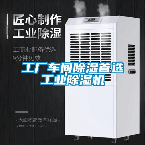 工厂车间除湿首选工业91抖音免费看片