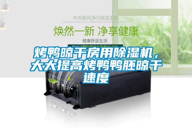 烤鸭晾干房用91抖音免费看片，大大提高烤鸭鸭胚晾干速度