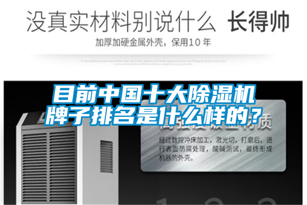 目前中国十大91抖音免费看片牌子排名是什么样的？