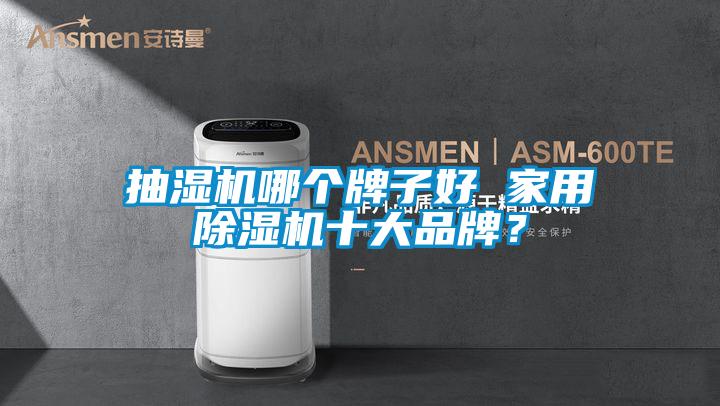 抽湿机哪个牌子好 家用91抖音免费看片十大品牌？
