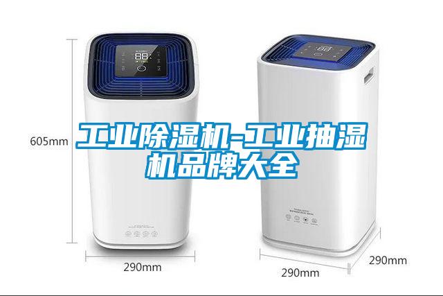 工业91抖音免费看片-工业抽湿机品牌大全