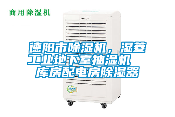 德阳市91抖音免费看片，湿菱工业地下室抽湿机  库房配电房除湿器