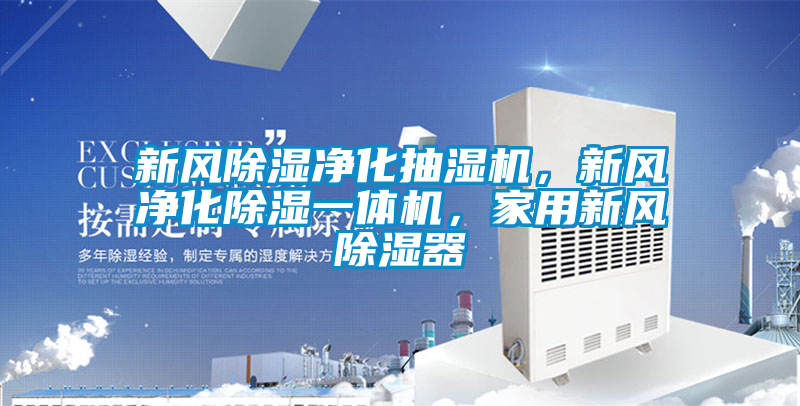 新风除湿净化抽湿机，新风净化除湿一体机，家用新风除湿器