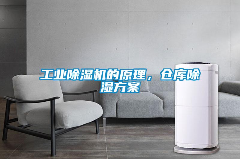 工业91抖音免费看片的原理，仓库除湿方案