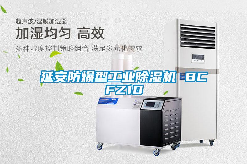 延安防爆型工业91抖音免费看片 BCFZ10