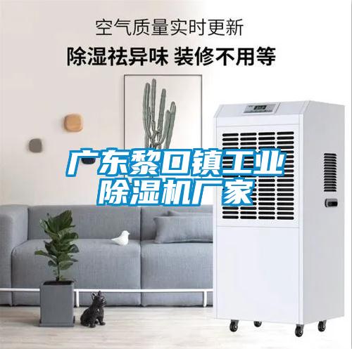 广东黎口镇工业91抖音免费看片厂家
