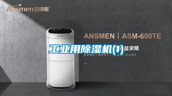 工业用91抖音免费看片(1)