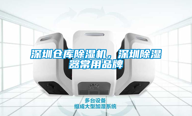 深圳仓库91抖音免费看片，深圳除湿器常用品牌