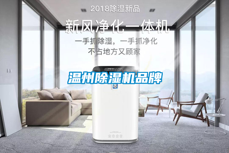 温州91抖音免费看片品牌