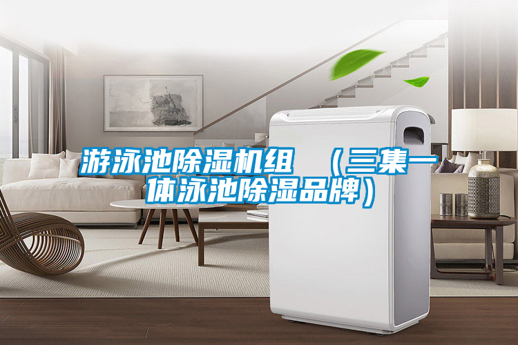 游泳池91抖音免费看片组 （三集一体泳池除湿品牌）