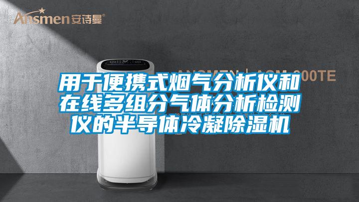 用于便携式烟气分析仪和在线多组分气体分析检测仪的半导体冷凝91抖音免费看片